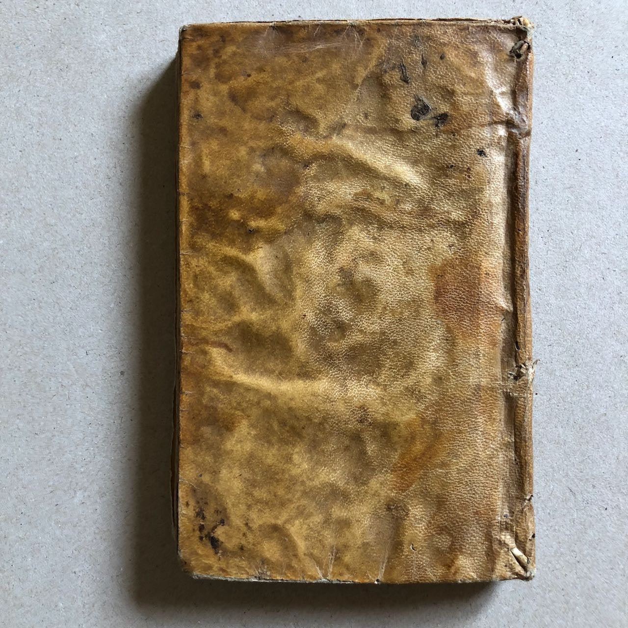 47743267
