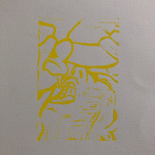 45466011