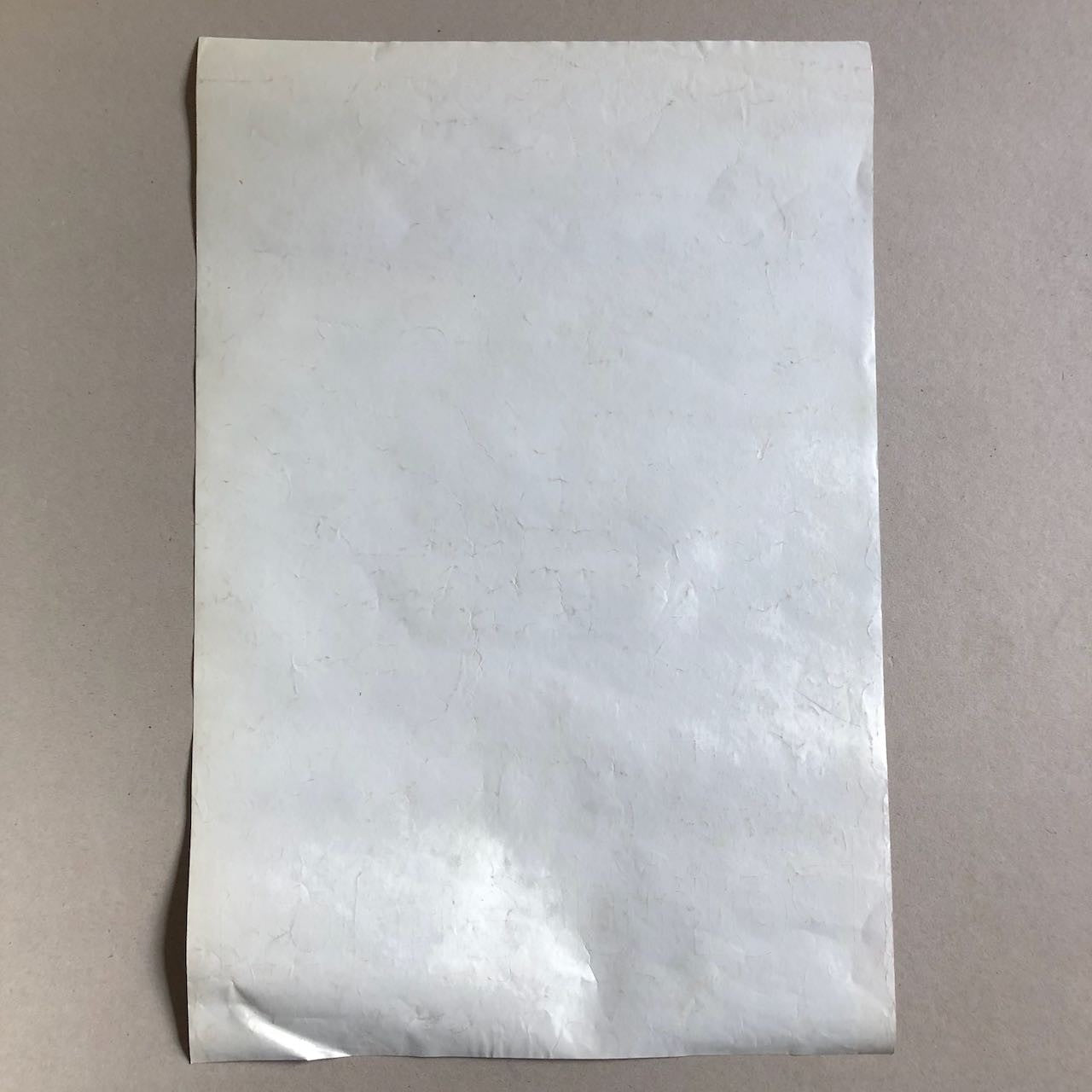 45800939