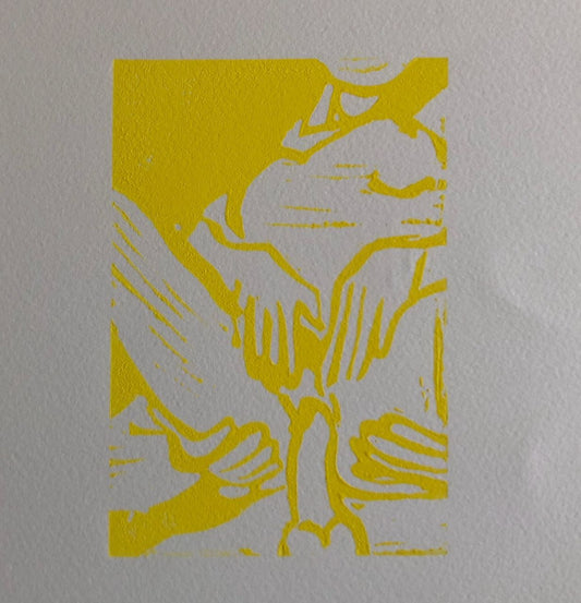 45490000
