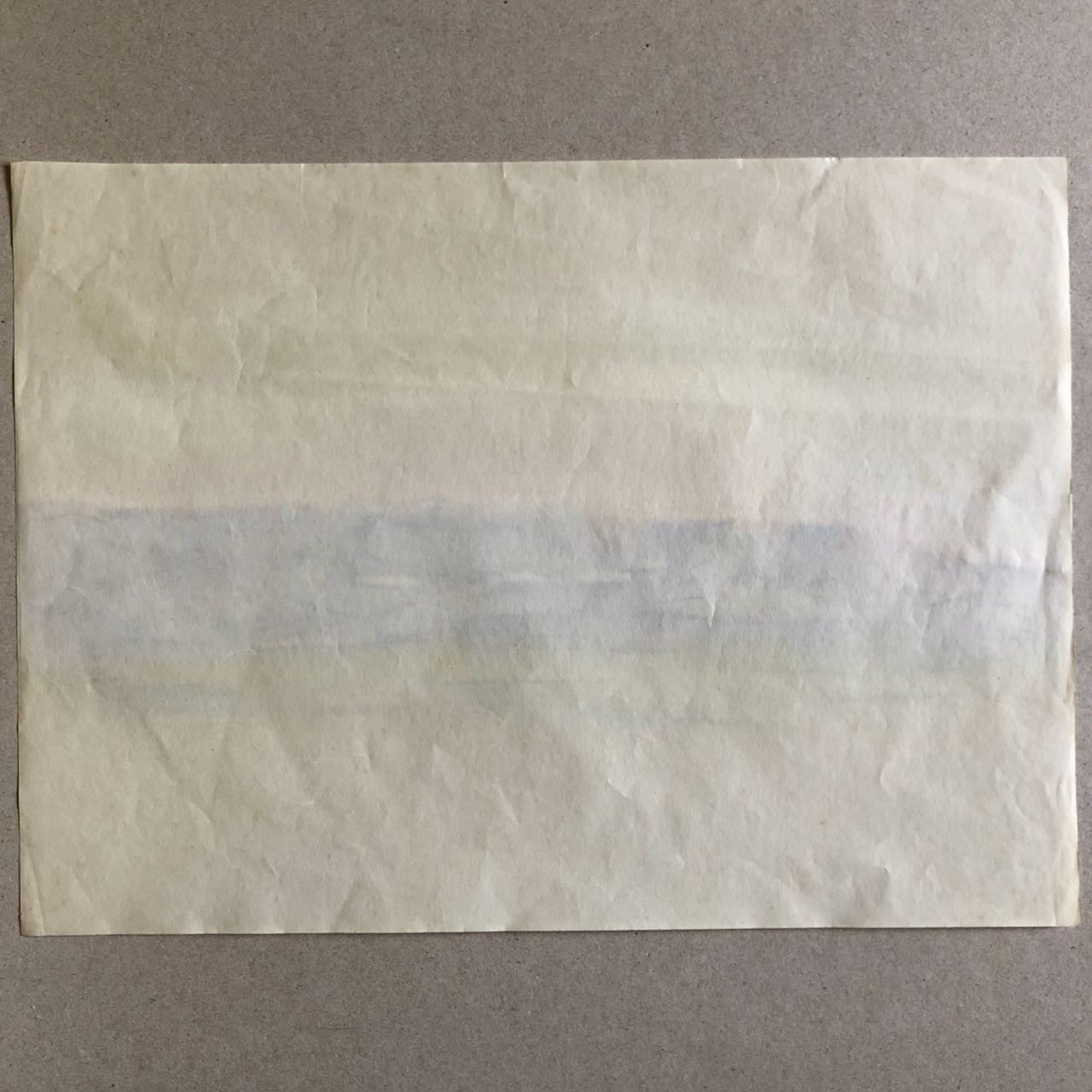 47559919