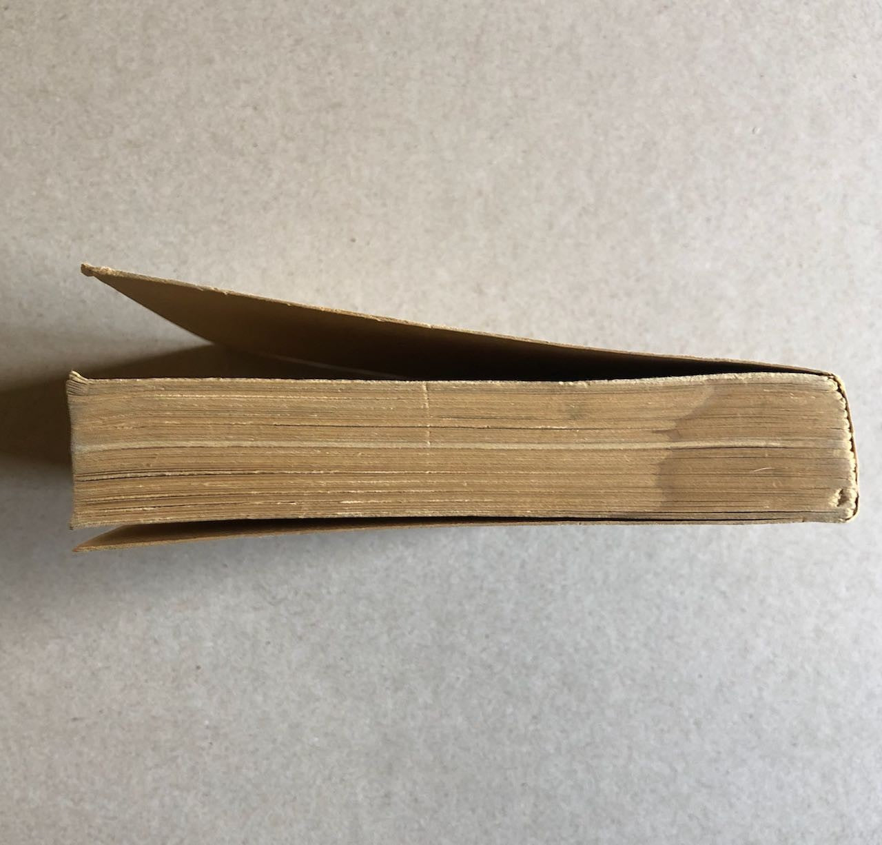 45882925