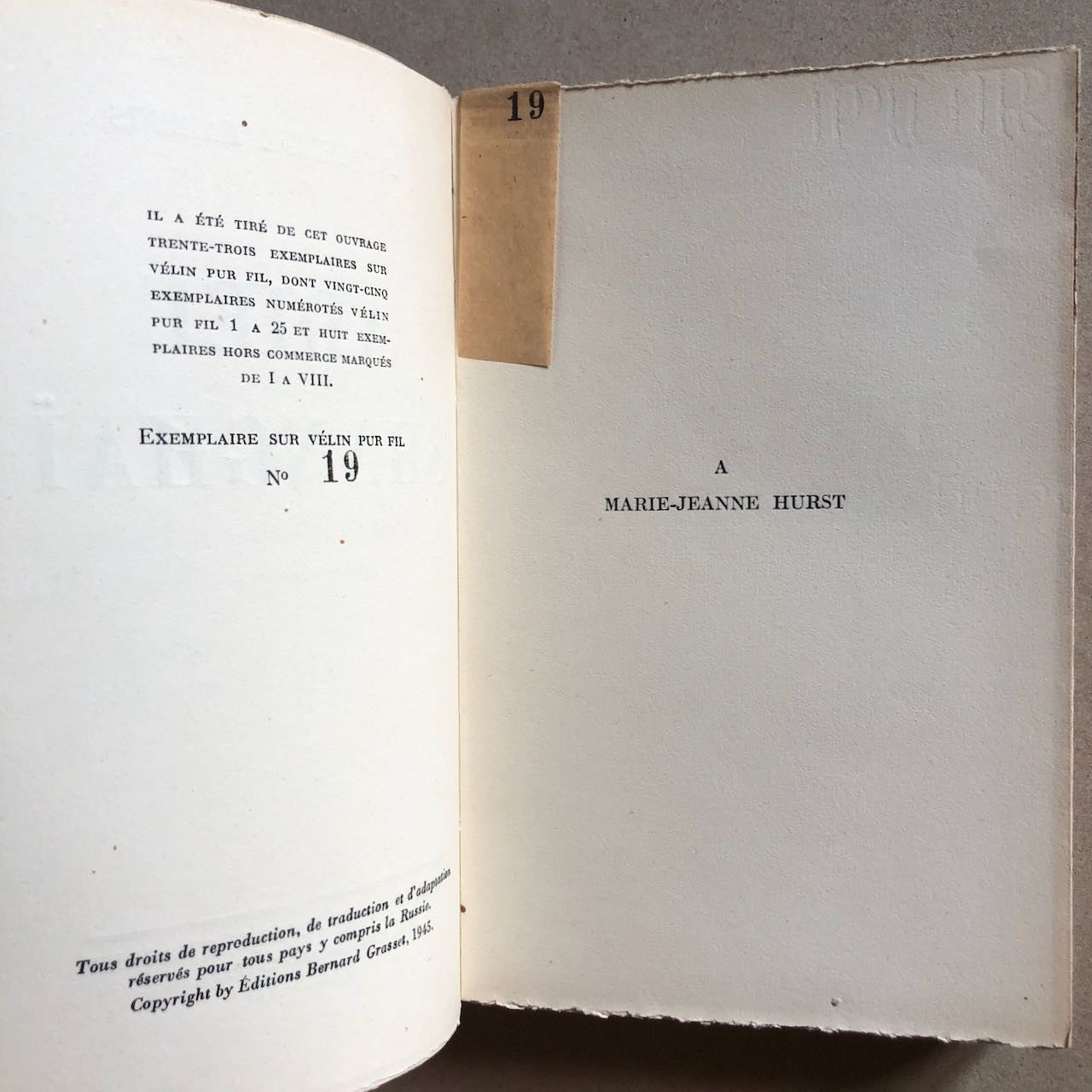 47742205