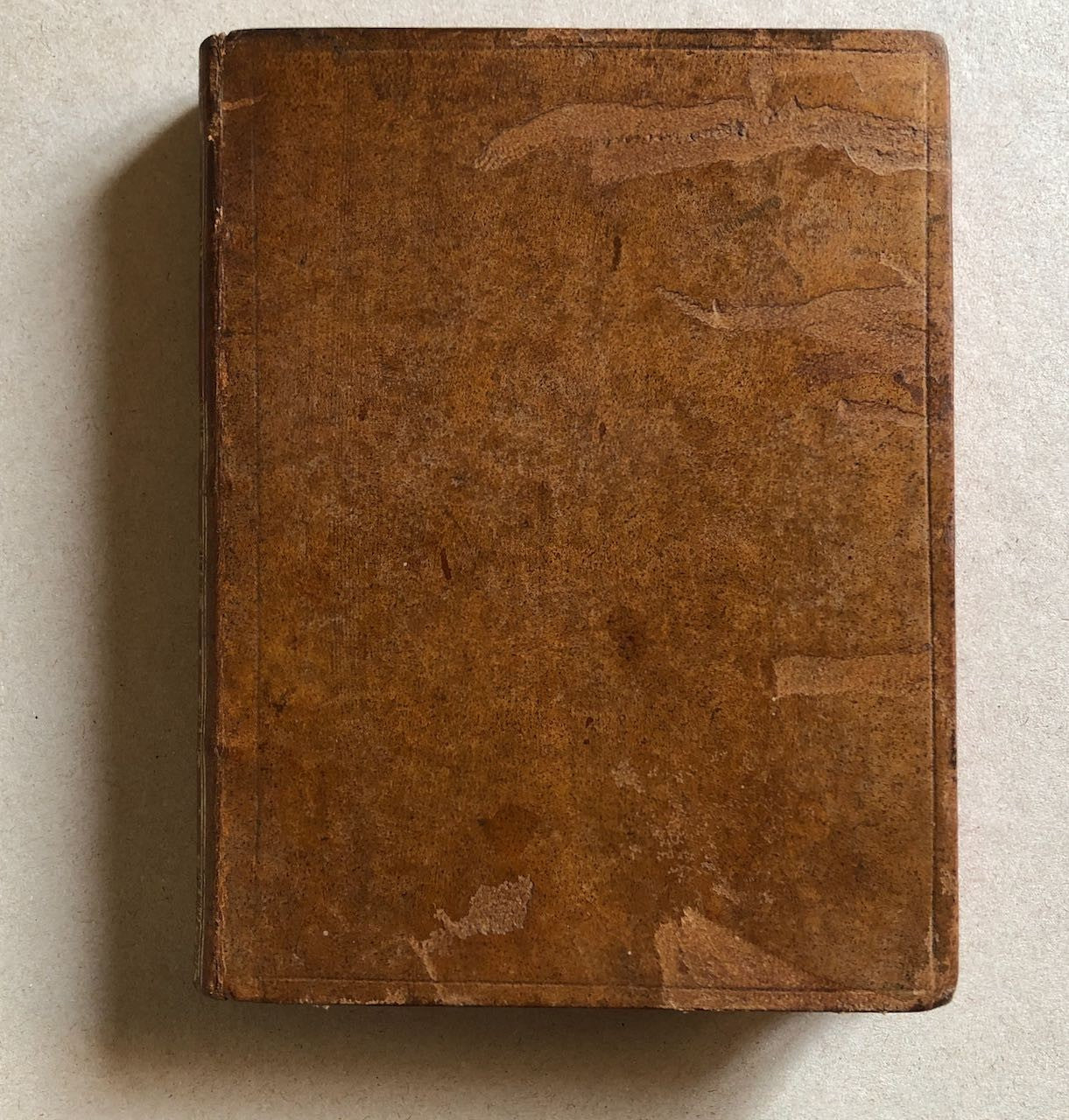 47079635
