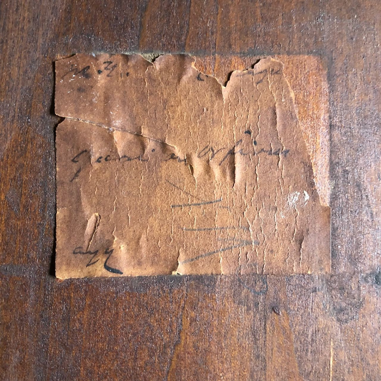 47192504