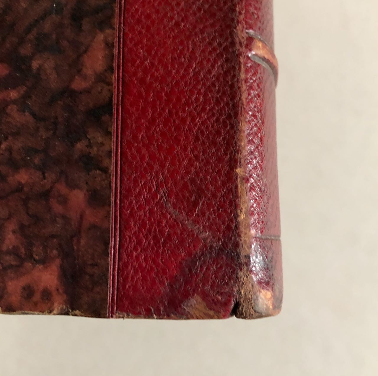 45882015