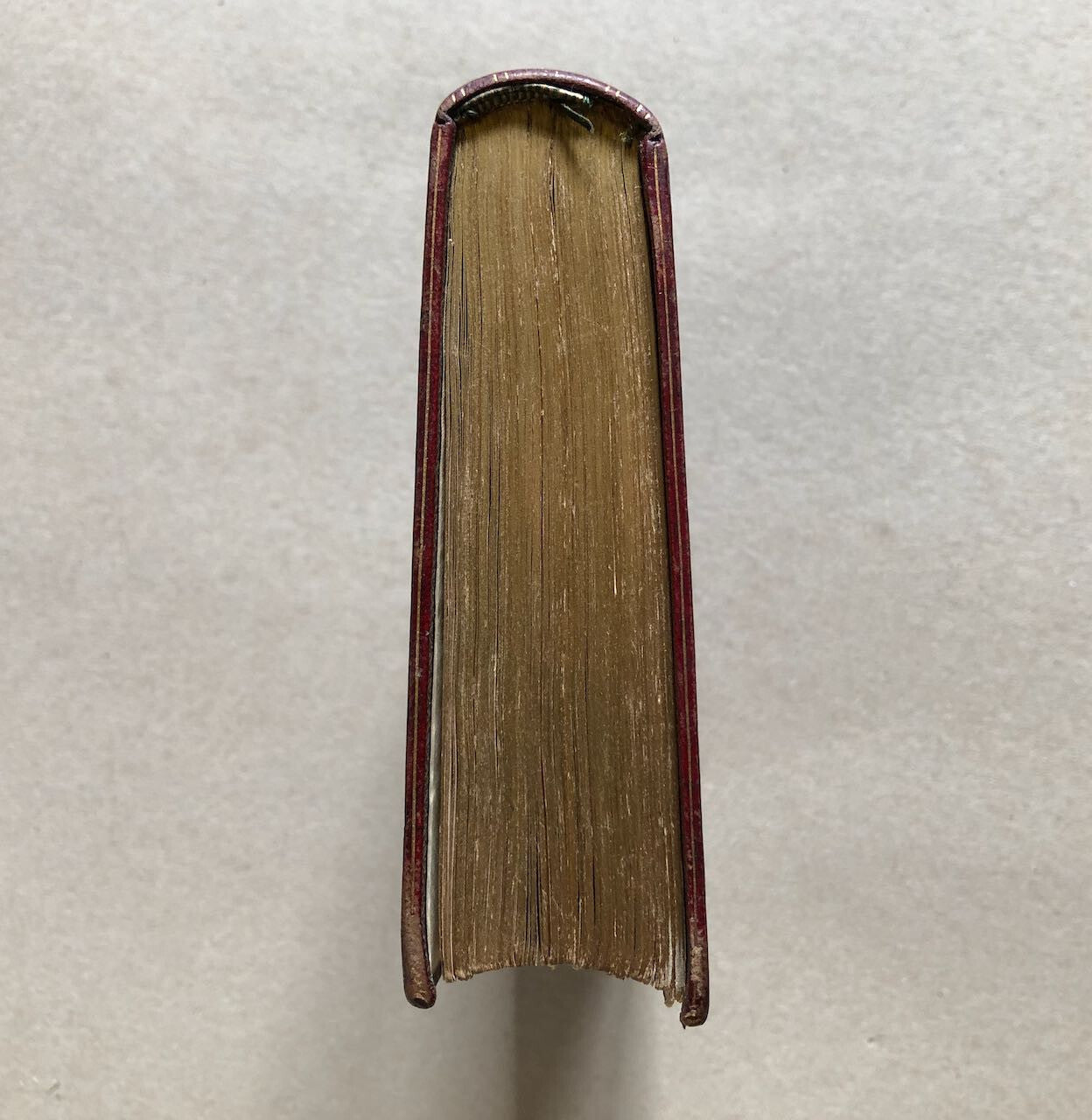 45169863