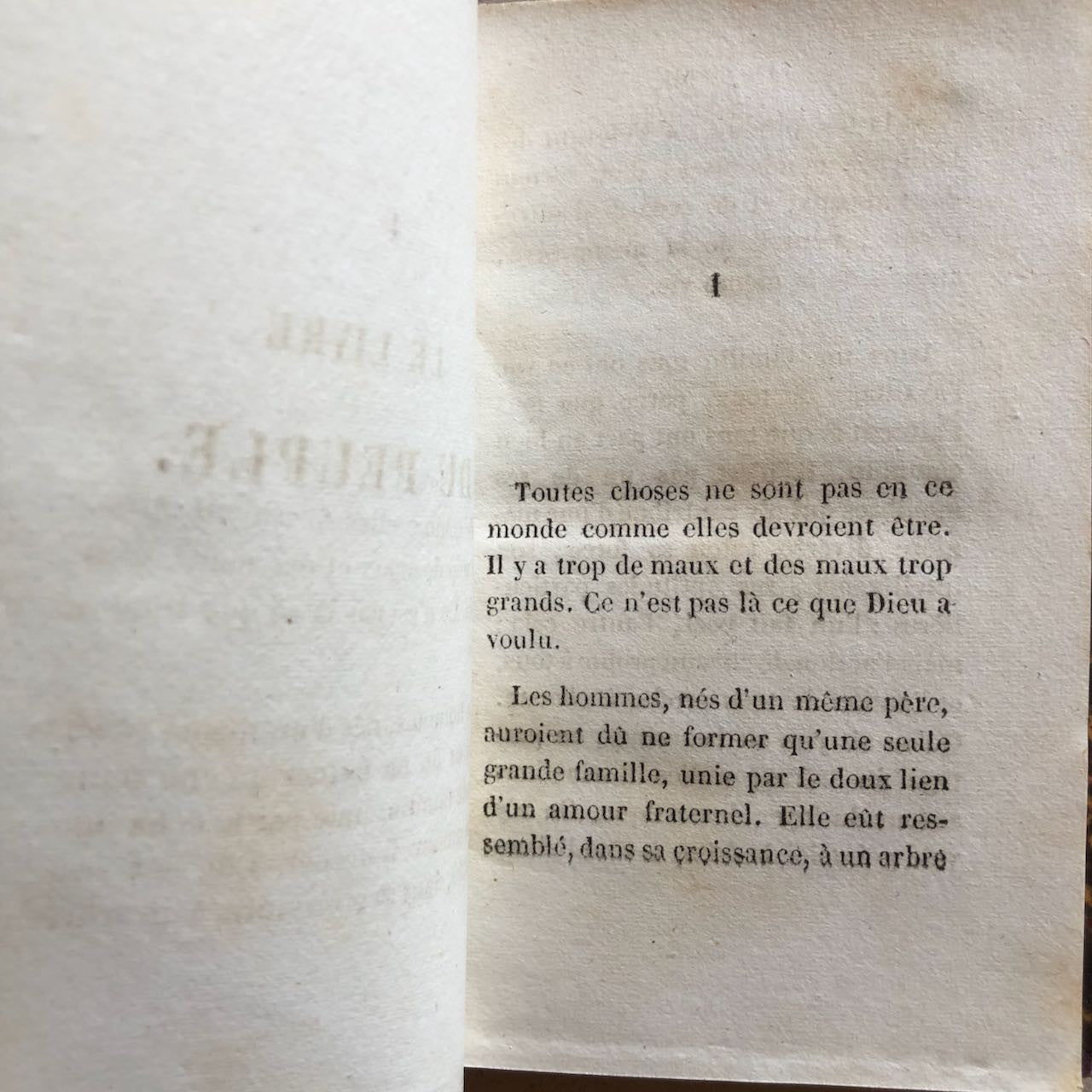 47552230