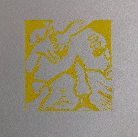45488864