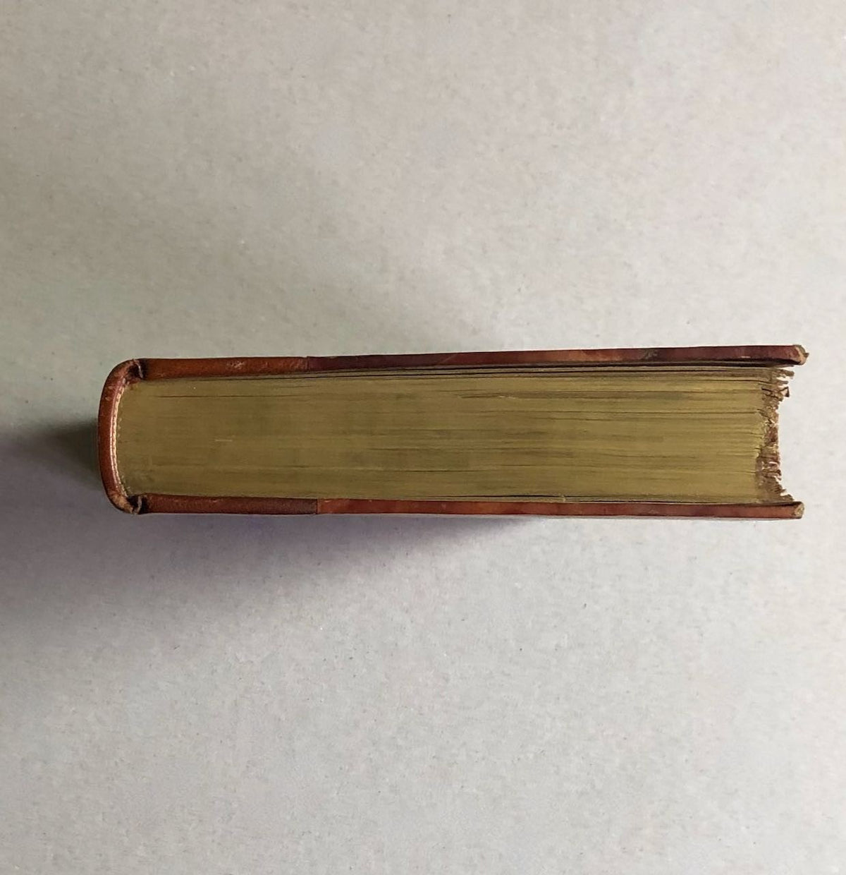 47847976