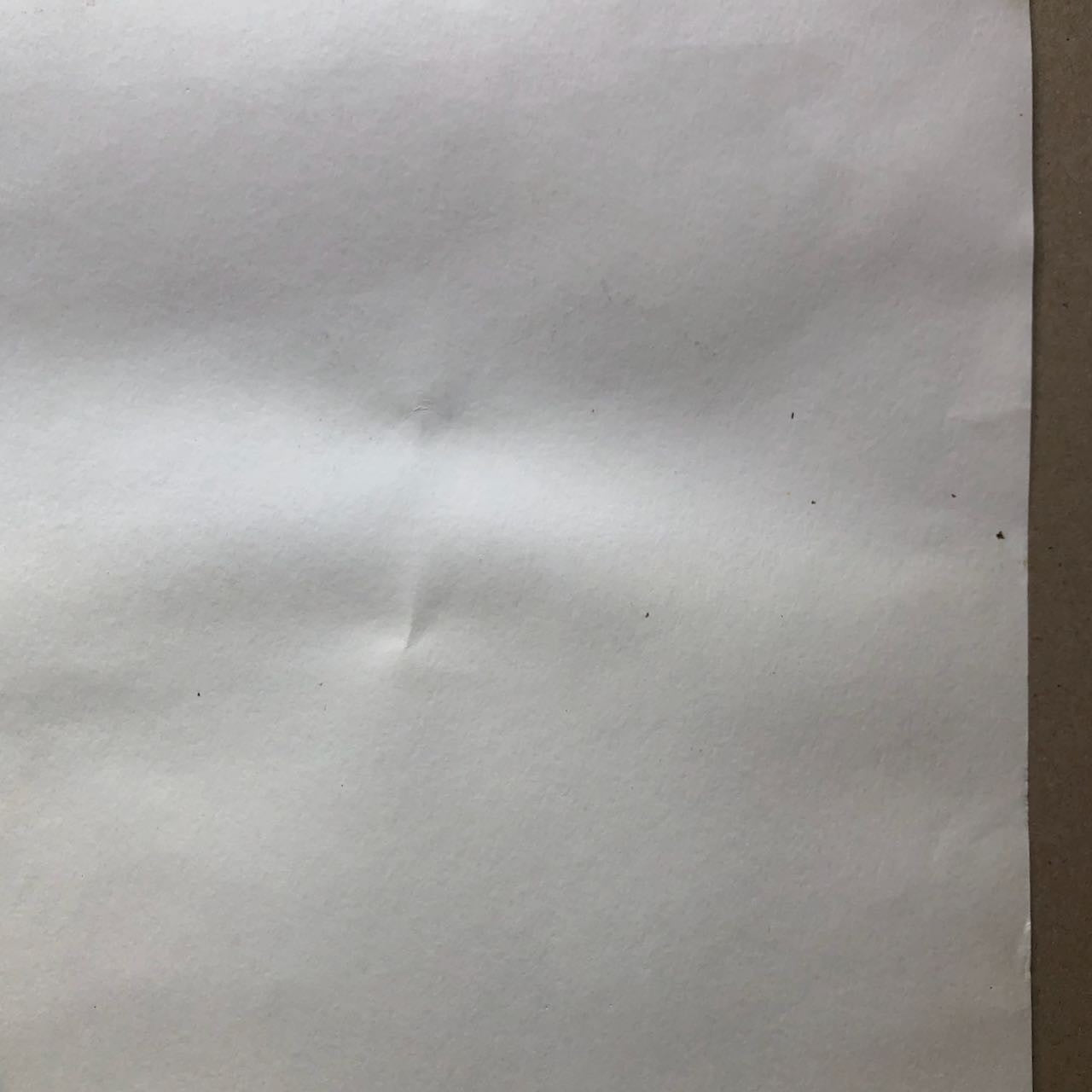 47538306