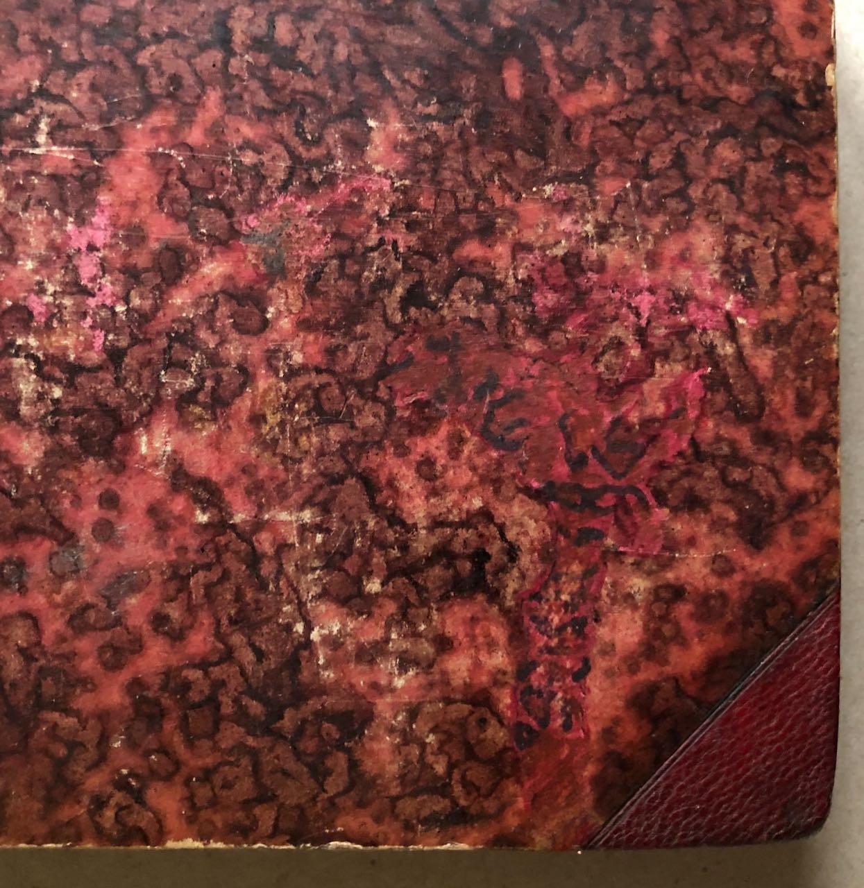 45882015