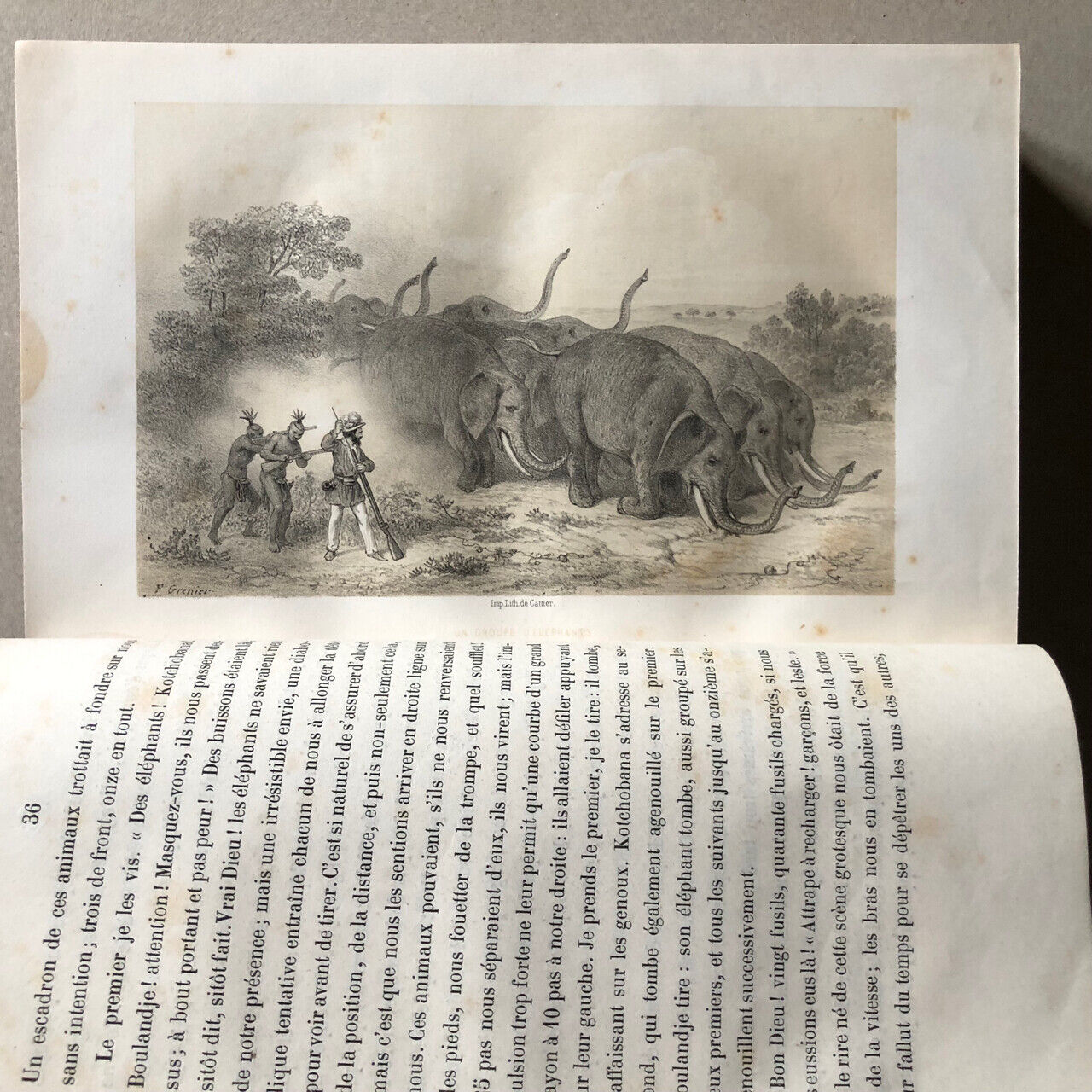 Adulphe Delegorgue — Voyage dans l'Afrique australe  — é.o. — A. René — 1847.