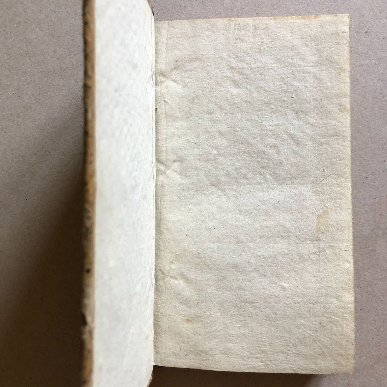 47559918