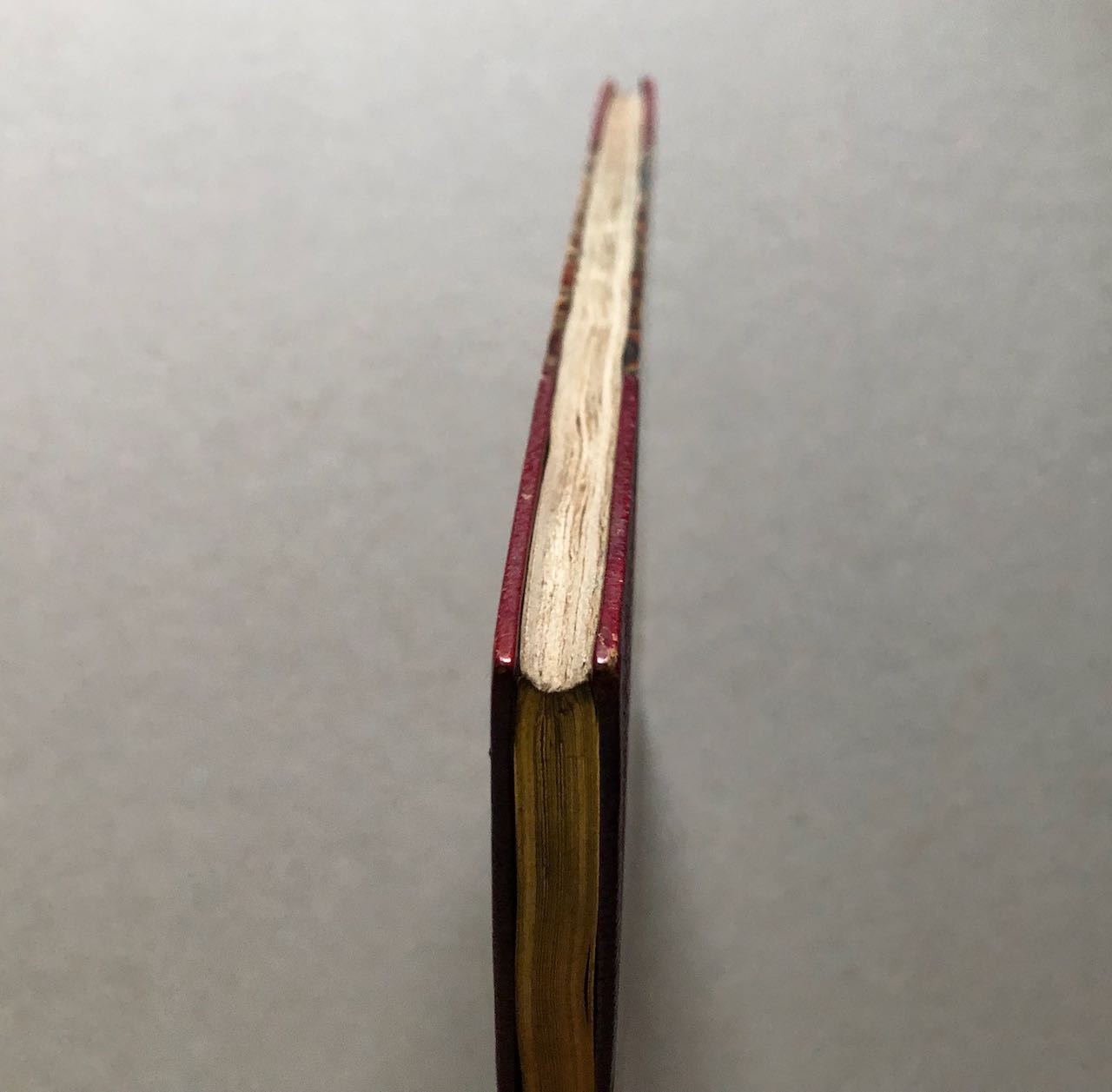 46916504