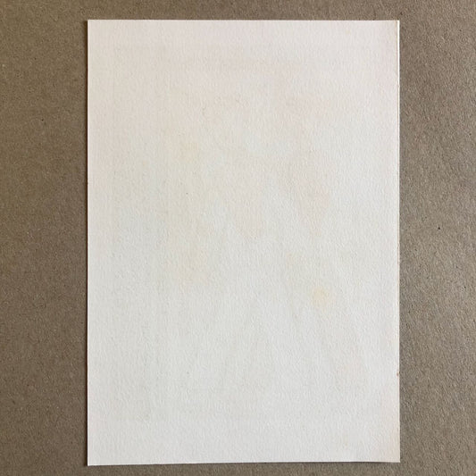 44626501