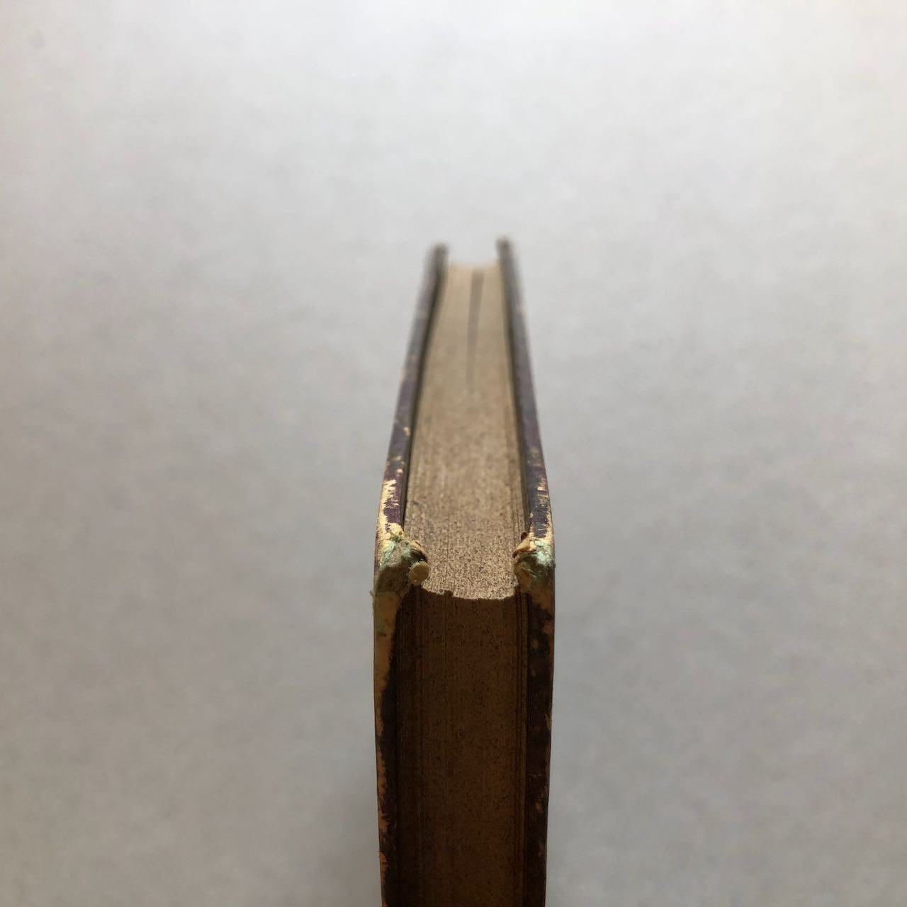 47538307