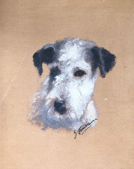 Gaston Fontaine — Chien - fox-terrier  — huile sur carton signée en bas à droite