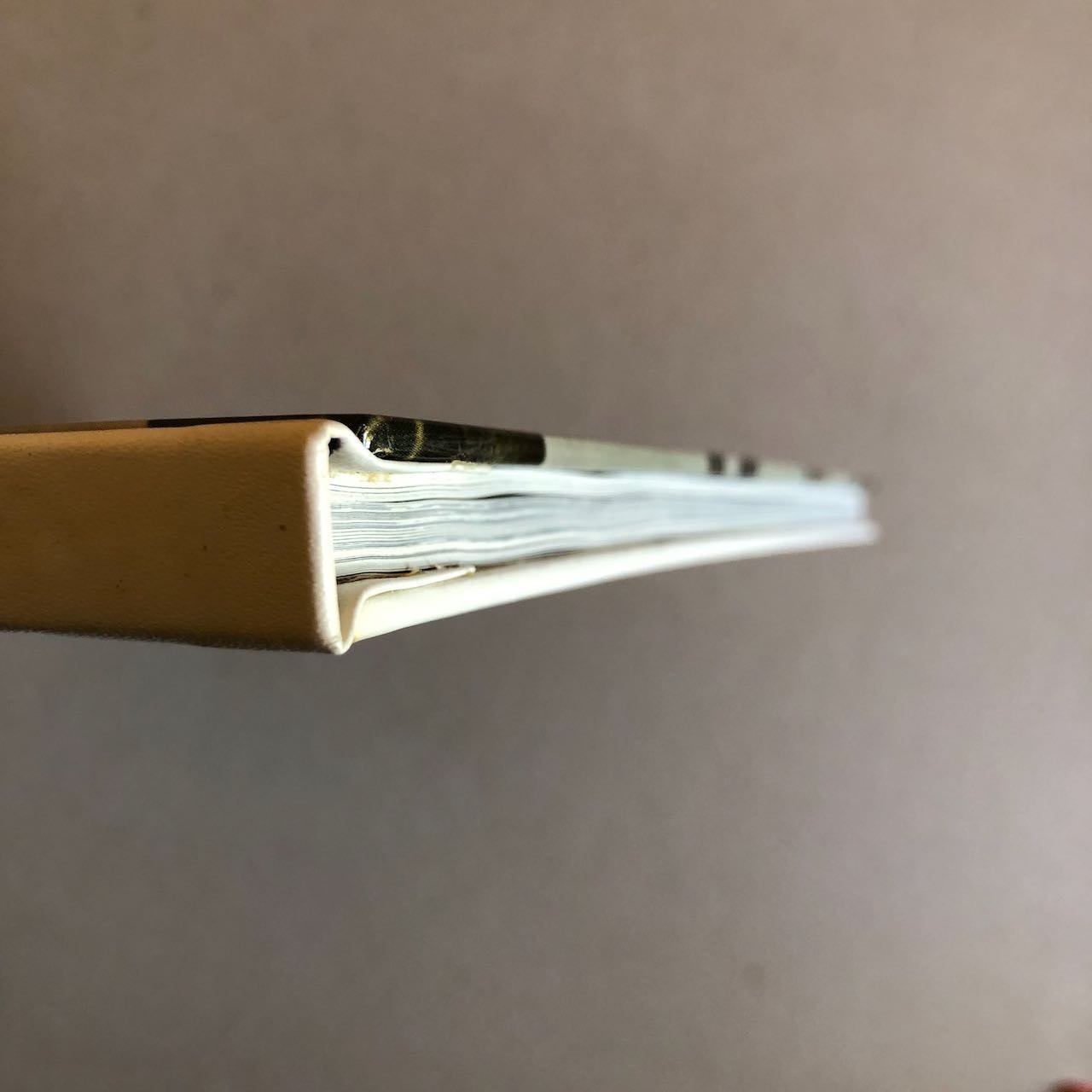 47202827