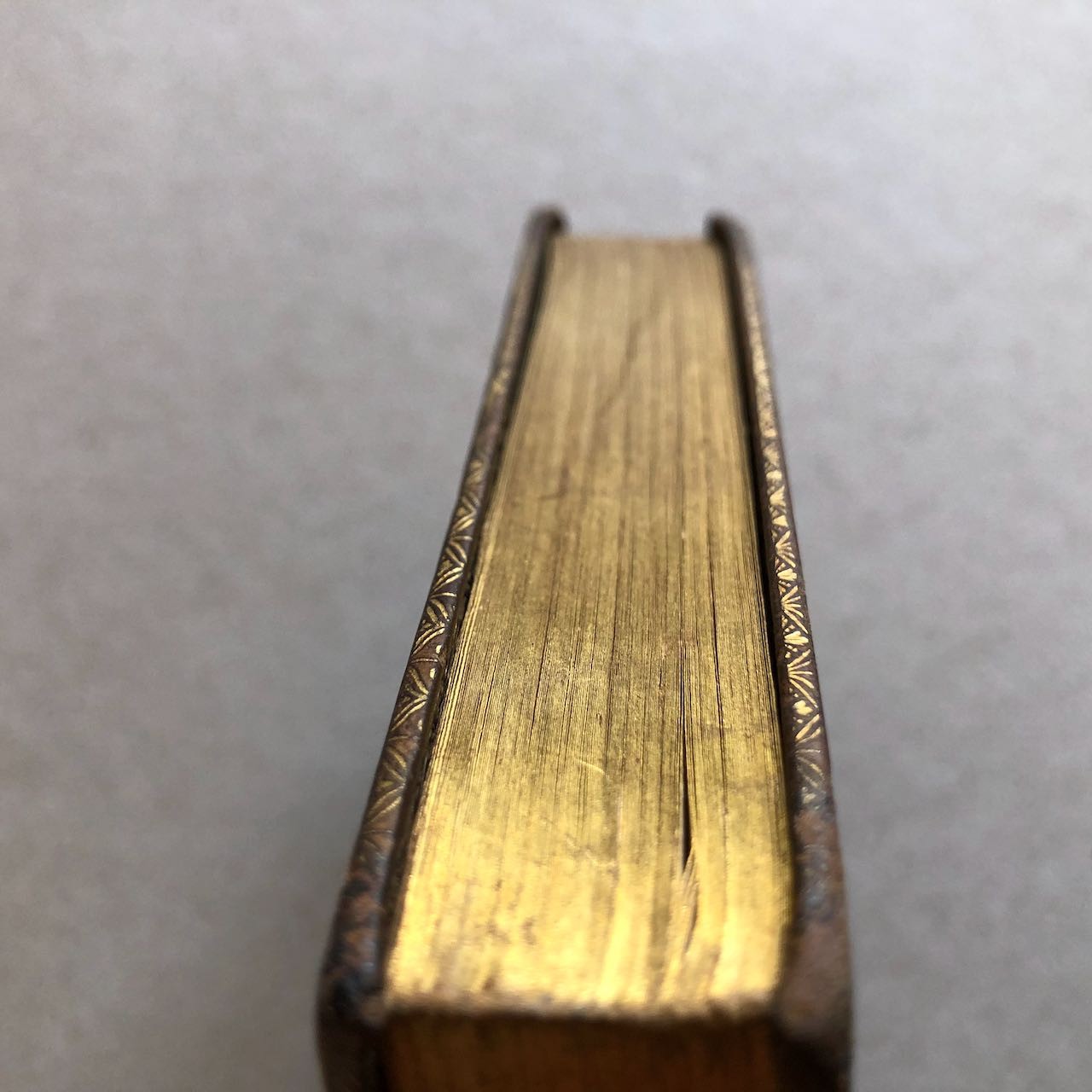 47288648