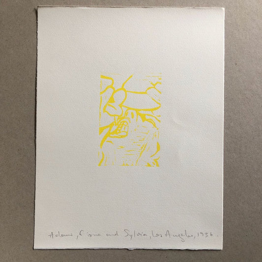 45466011