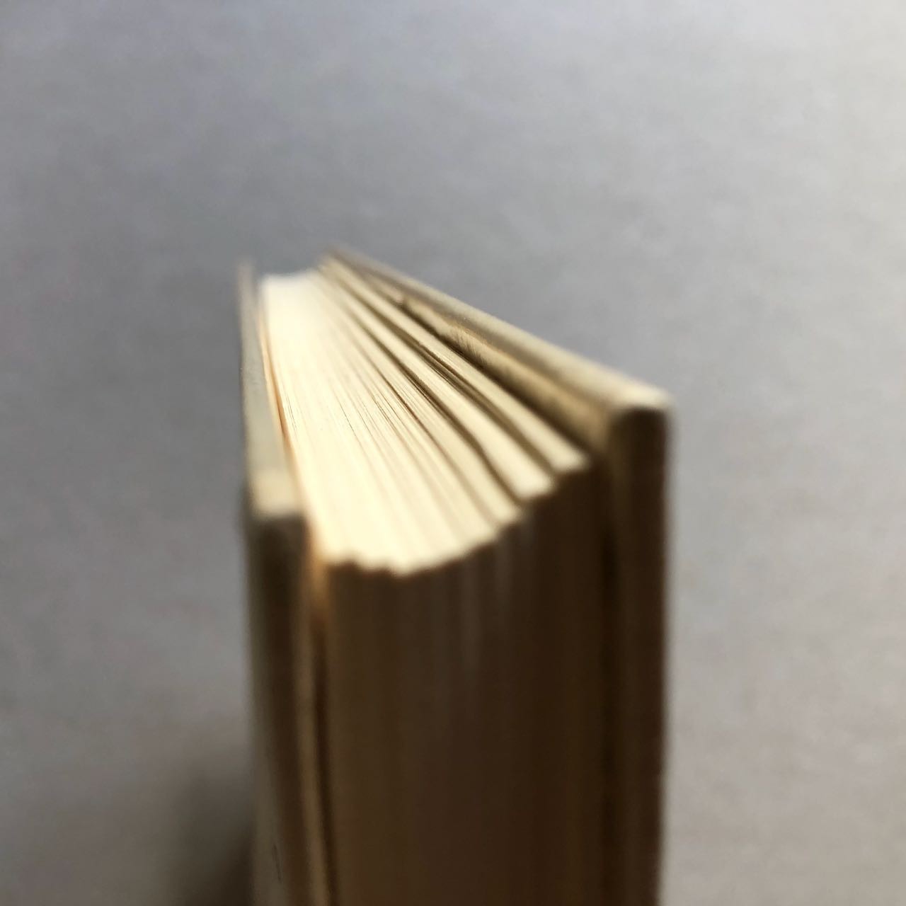 47162097