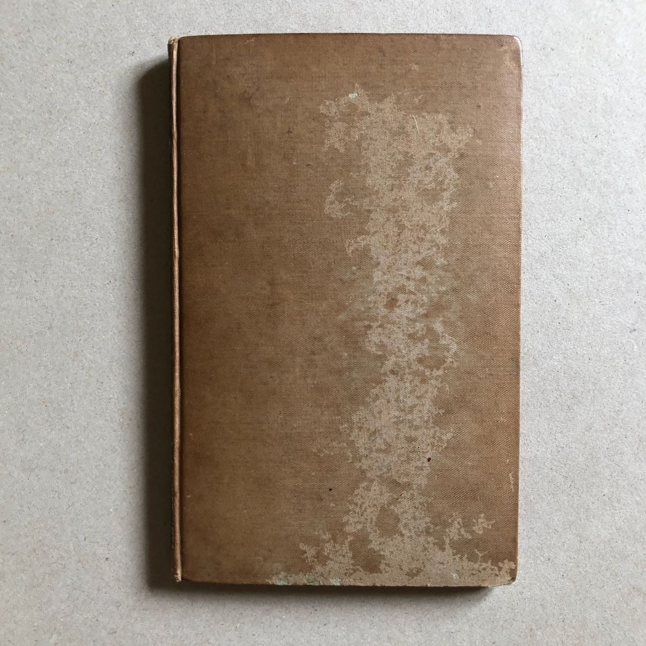 47562528