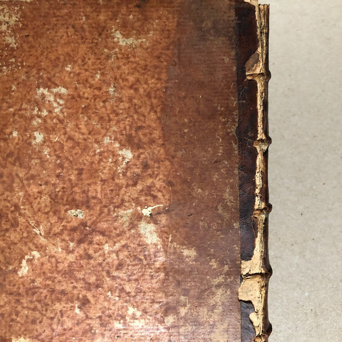 47902040