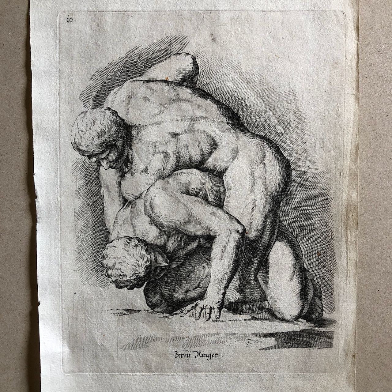 47329053