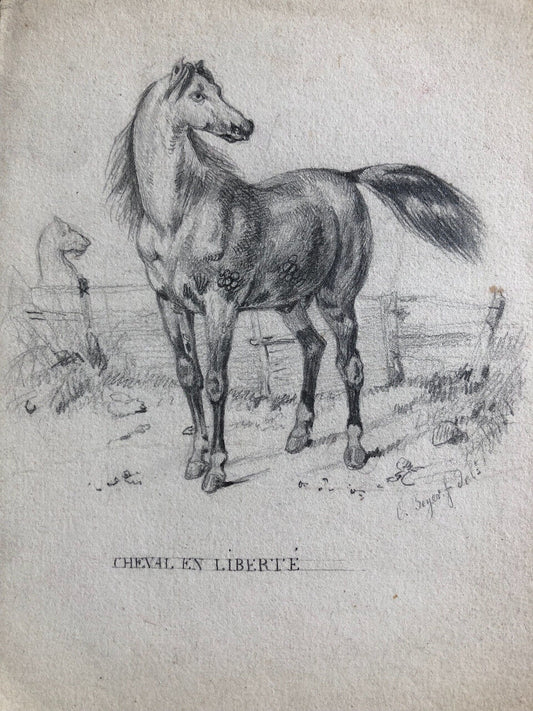 Eugène Beyer (1817-1893) — cheval en liberté — dessin au crayon signé et titré.