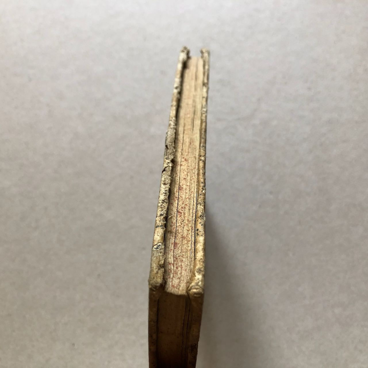 47559918