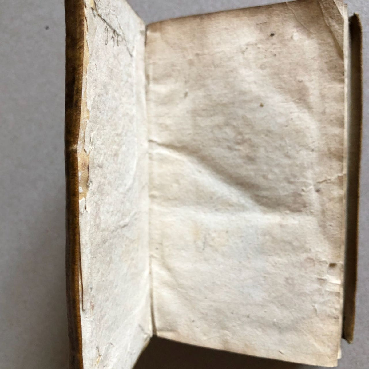47908389