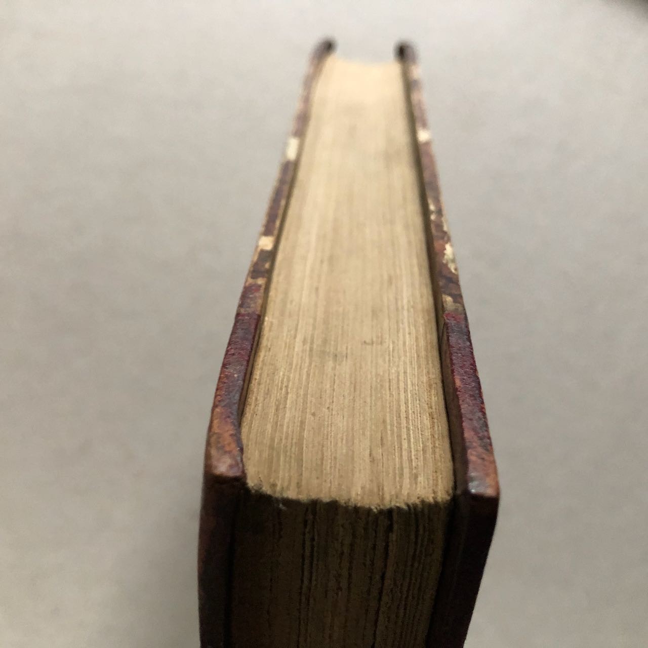 45882015