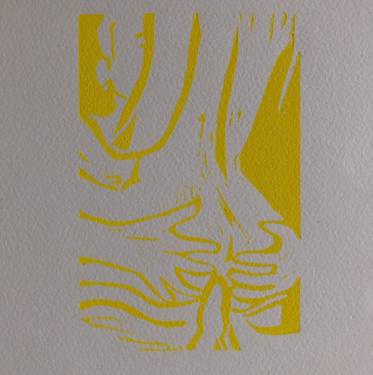 45528724
