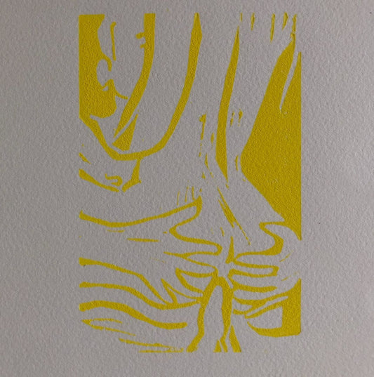 45528724