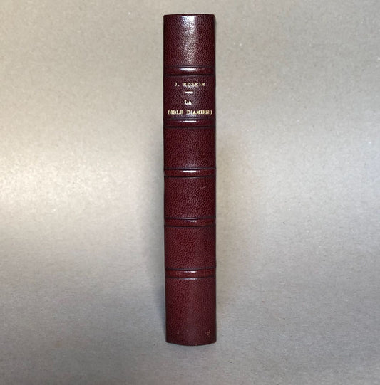 44862259