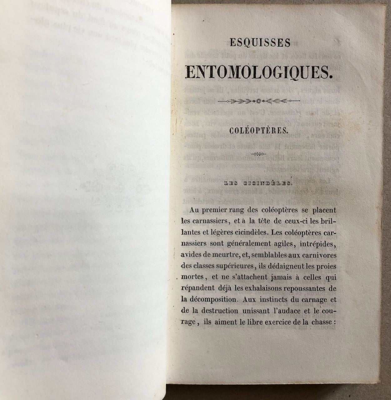 45687613