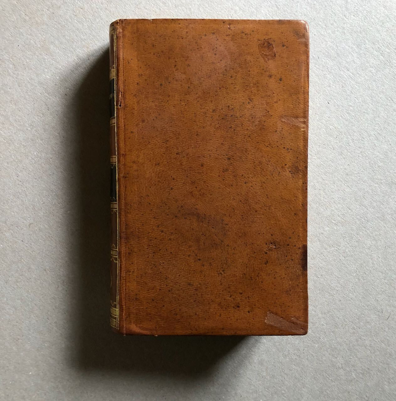44497605
