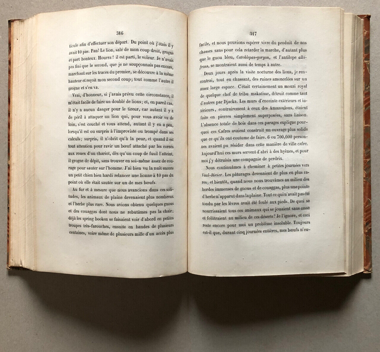 Adulphe Delegorgue — Voyage dans l'Afrique australe  — é.o. — A. René — 1847.