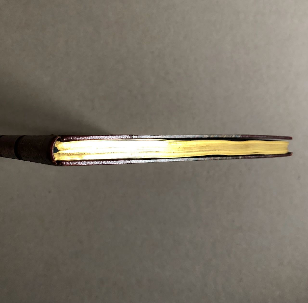 46916504