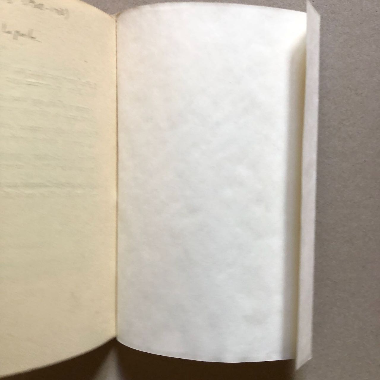 45872878