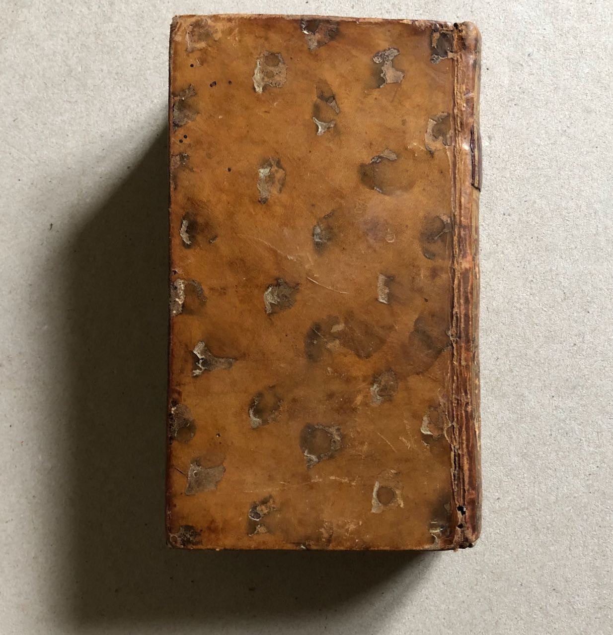 45752391