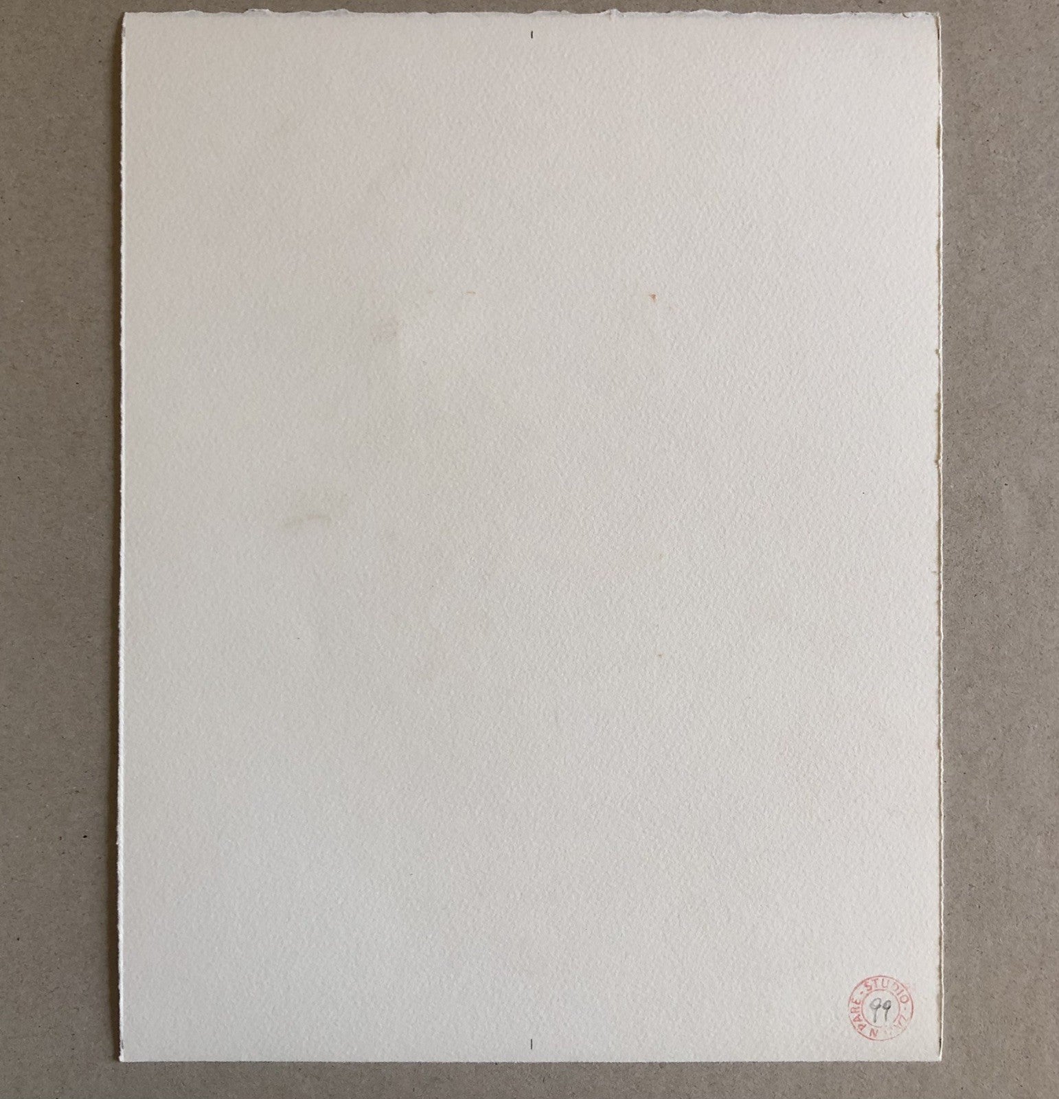 45501255