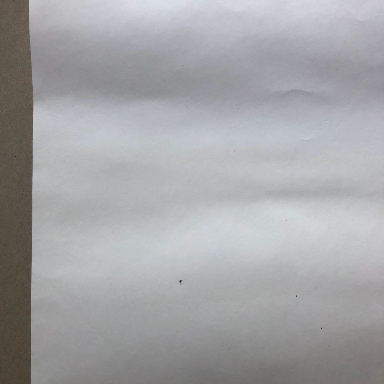 47538306