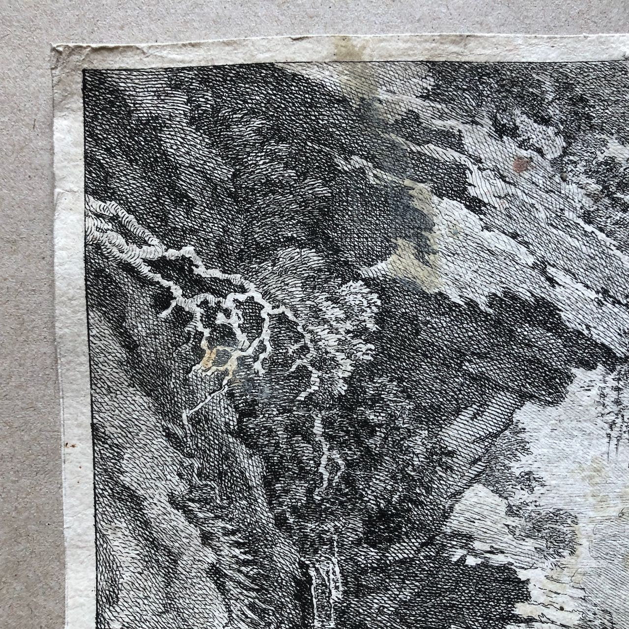 45891741