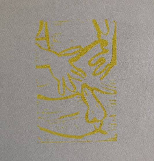 45501255