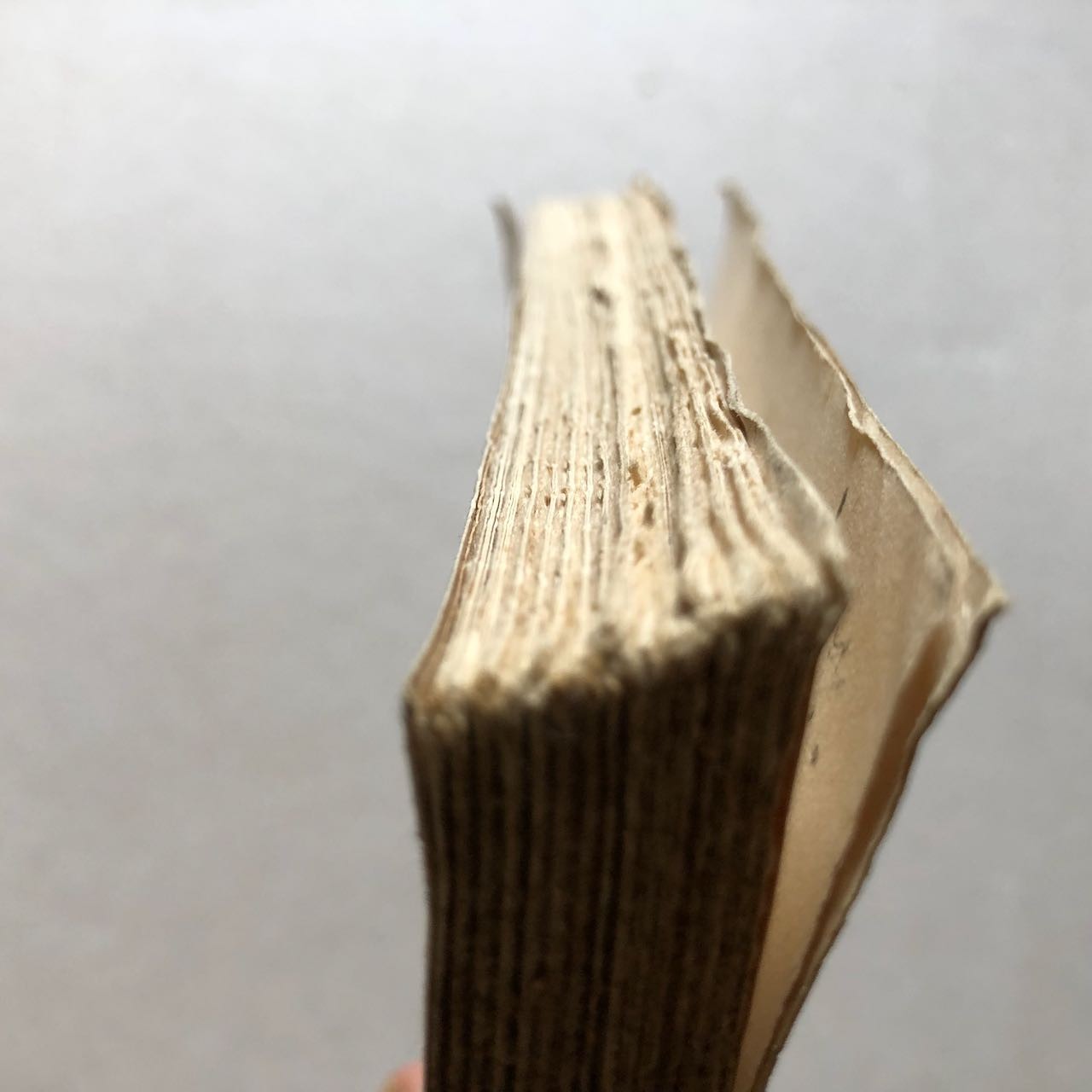47332102