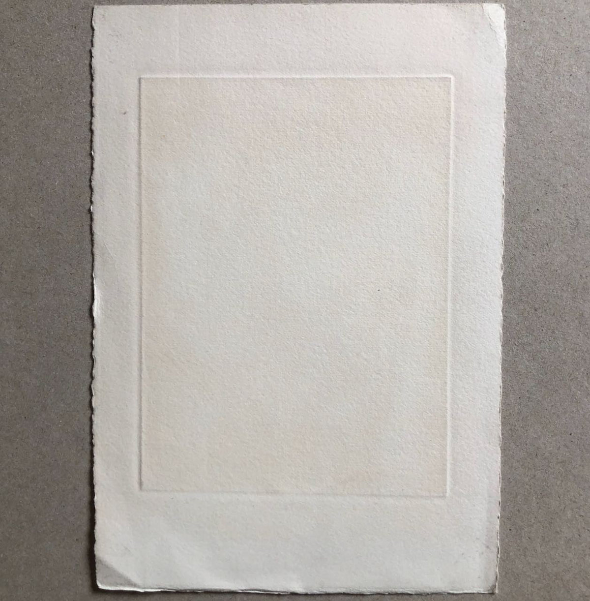 47779117