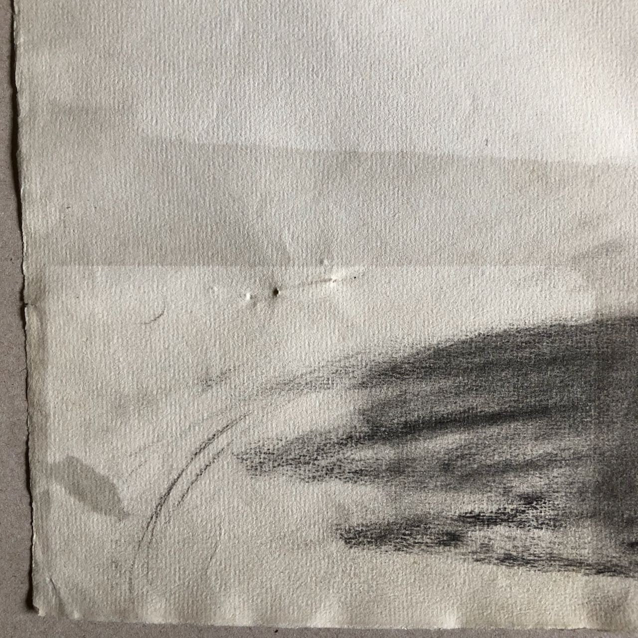47160558