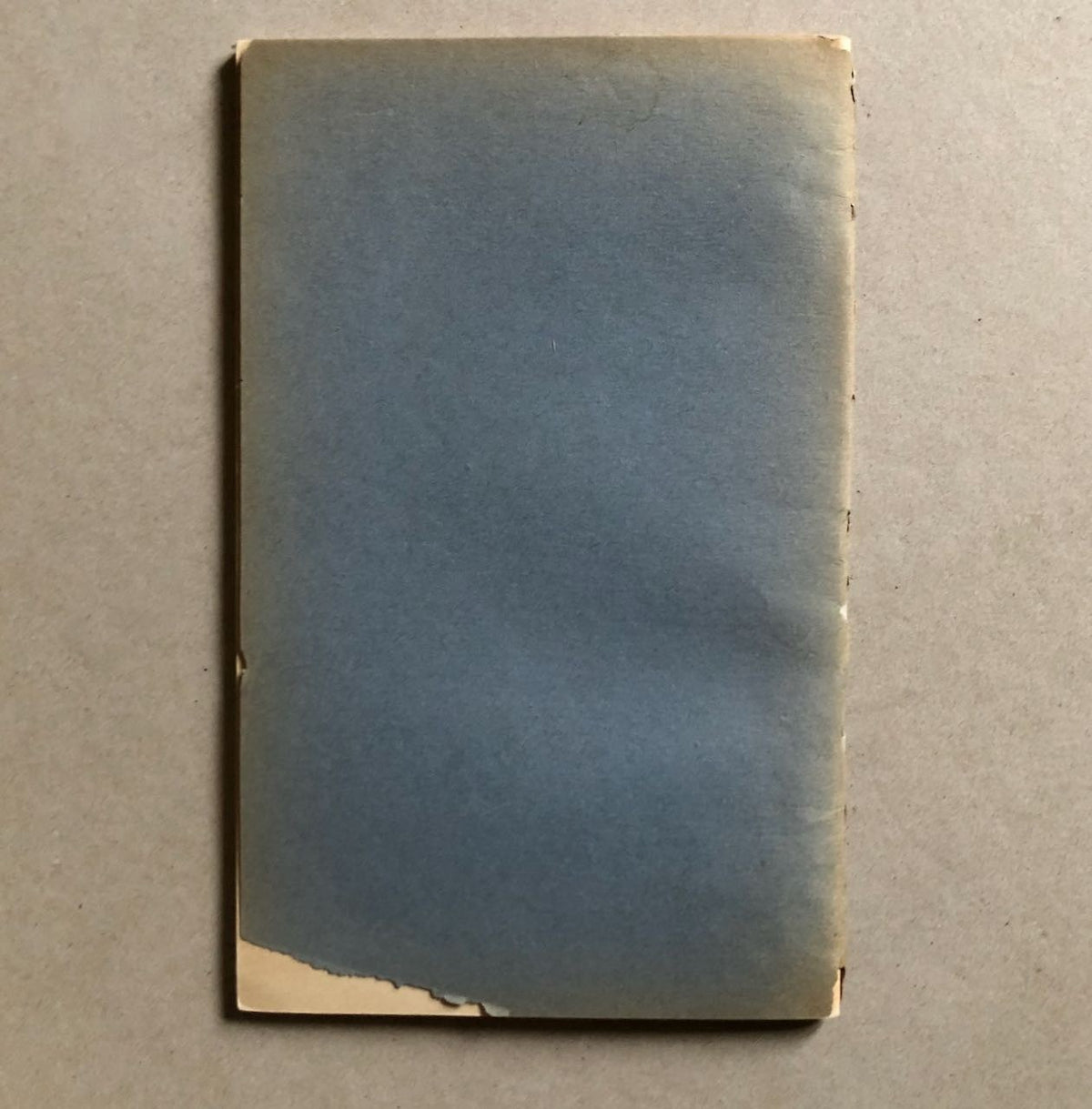 47885356